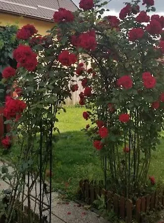 Casa Merilor I & Ii فيلة