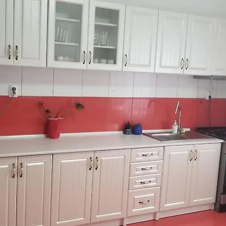 Casa Merilor I & Ii Villa