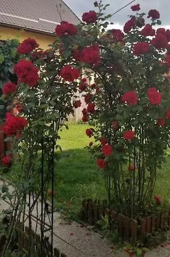 Casa Merilor I & Ii Вілла