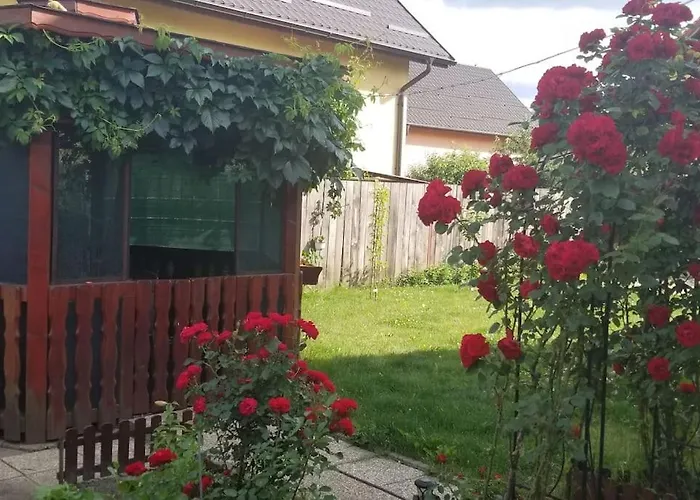 Вілла Casa Merilor I & Ii